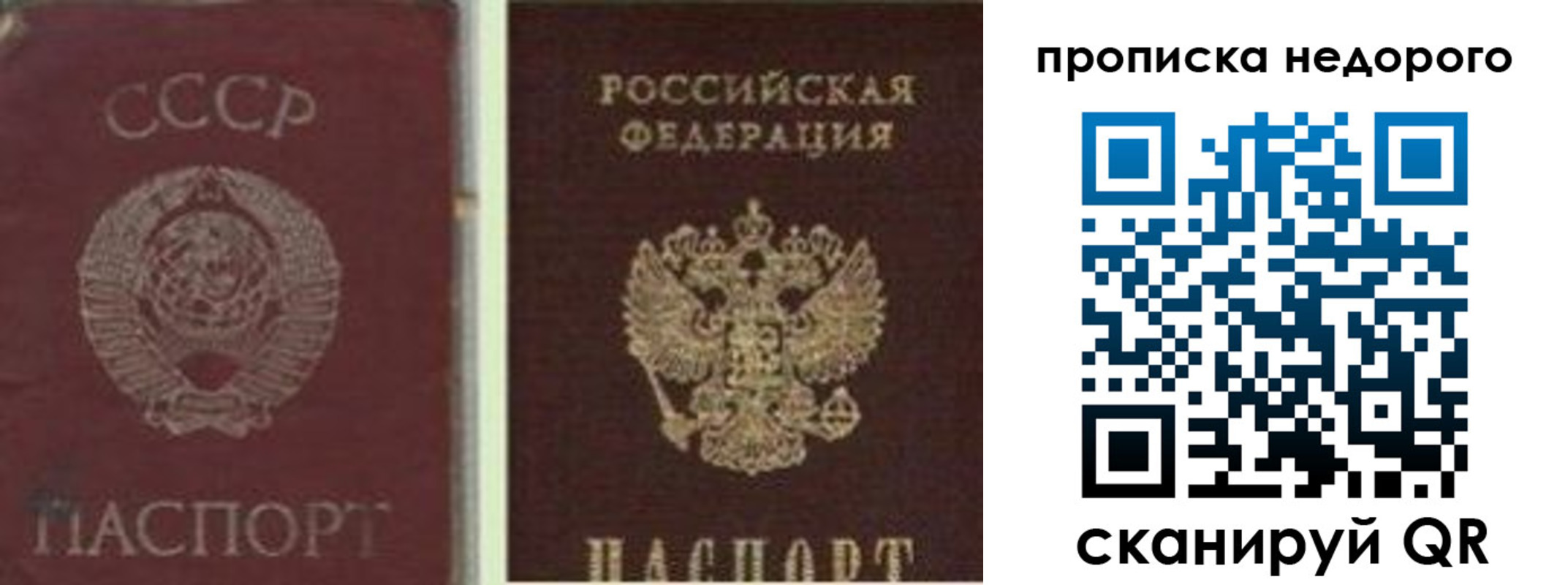 временная регистрация поиск в Зиме